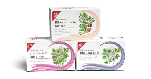 Blase - Niere - Rheuma